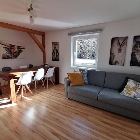 Apartment In Dienten With Mountain Views Динтен-ам-Хохкёниг Экстерьер фото