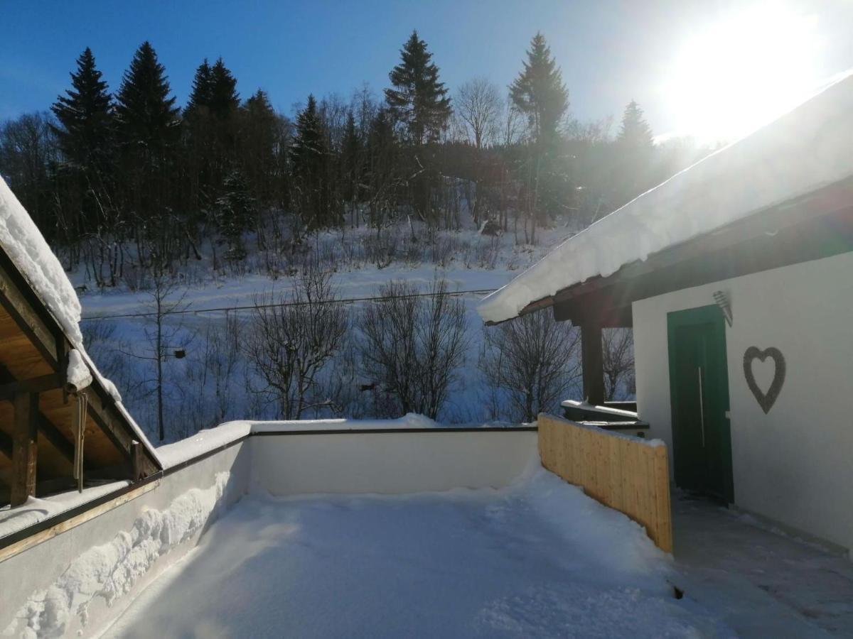 Apartment In Dienten With Mountain Views Динтен-ам-Хохкёниг Экстерьер фото