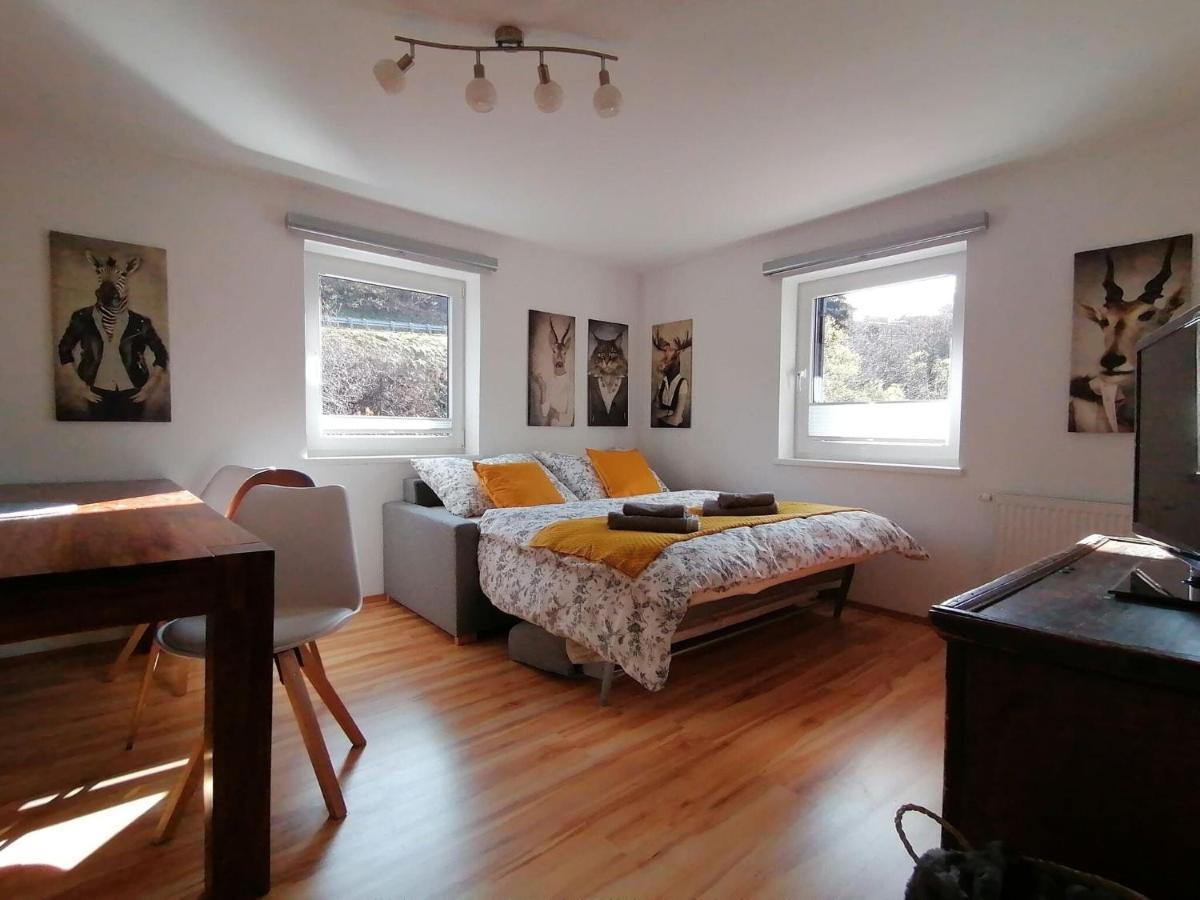 Apartment In Dienten With Mountain Views Динтен-ам-Хохкёниг Экстерьер фото